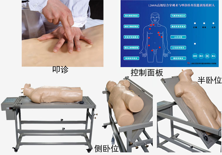 高級綜合穿刺術(shù)與叩診檢查技能訓練模擬人