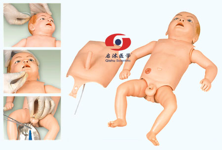 高級(jí)嬰兒護(hù)理人模型