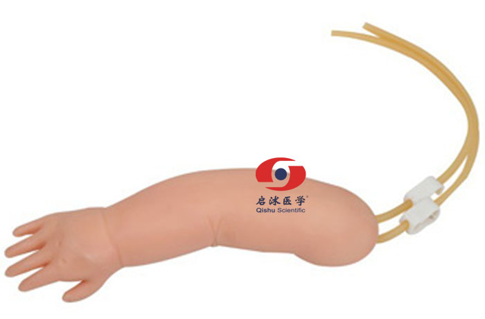 高級(jí)幼兒靜脈穿刺手臂模型
