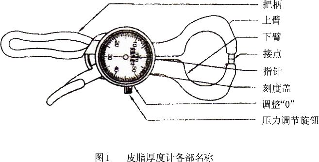 皮脂厚度計說明