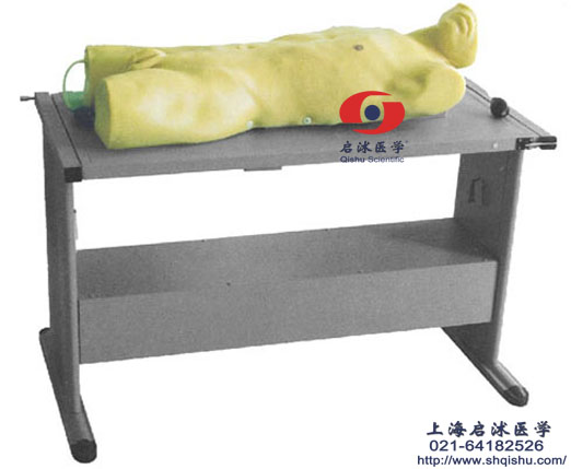 肝膿腫穿刺與胸腔穿刺訓練模型