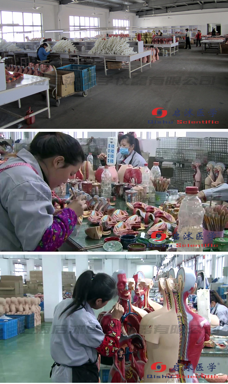 上海啟沭醫(yī)學工人作業(yè)