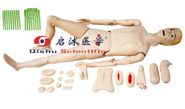 高級(jí)護(hù)理人模型