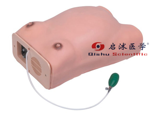 孕婦產(chǎn)科檢查電子標準化病人