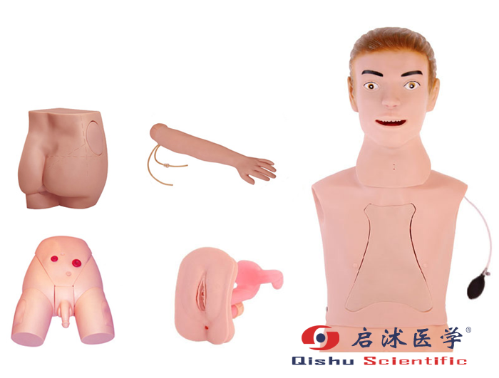 高級(jí)基礎(chǔ)護(hù)理實(shí)習(xí)操作模型
