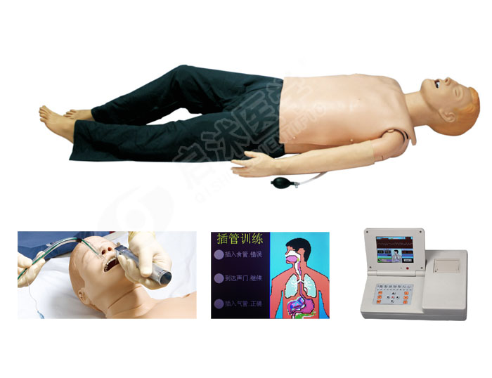 成人心肺復蘇培訓模擬人